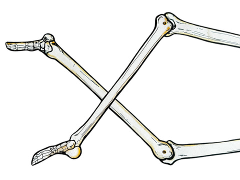 1980s Beistle Skeleton Pirate Die-Cut Decoration