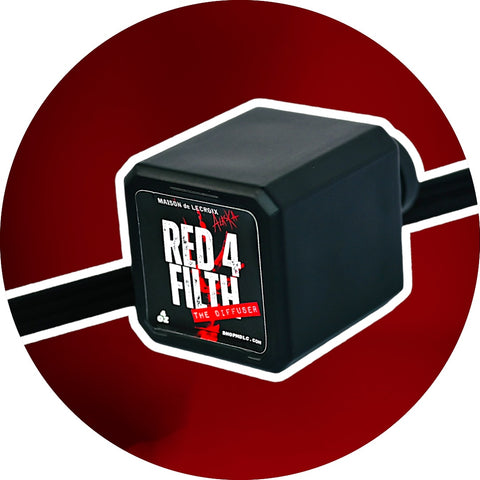 RED 4 FILTH: The Reed Diffuser