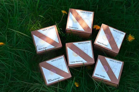 Sunlit Spaces Collection