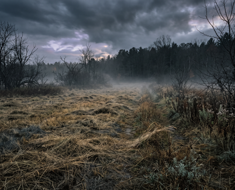 All Hallows Eve
