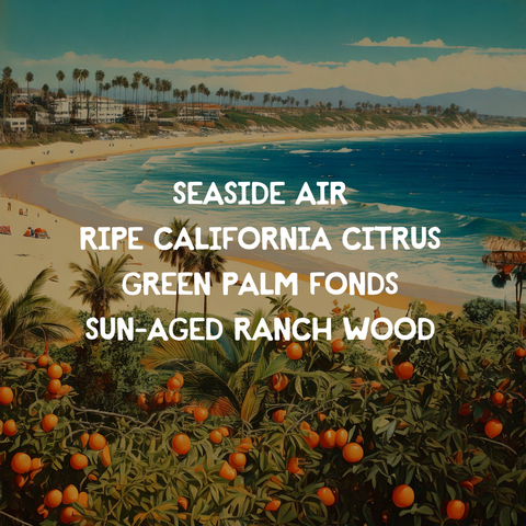 California Dreamin’