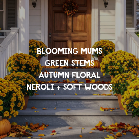 Golden Mums