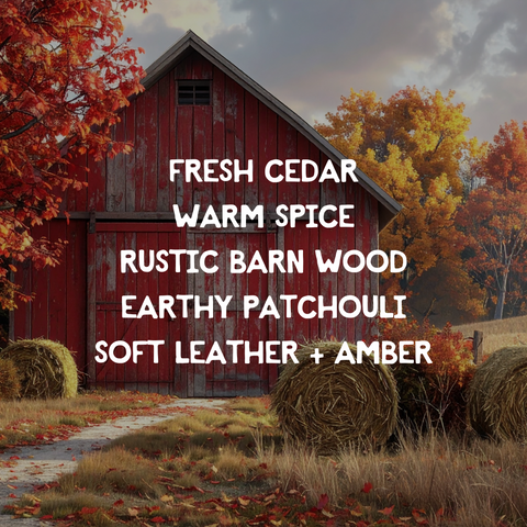 Rustic Red Barn Door