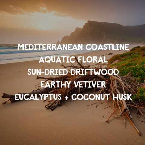 Driftwood + Vetiver